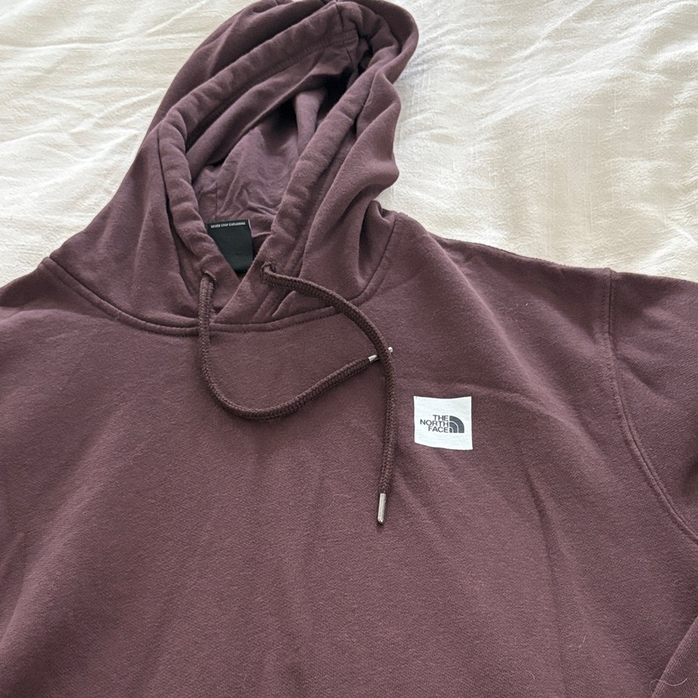 The North Face Men's Dark Brown Hoodie